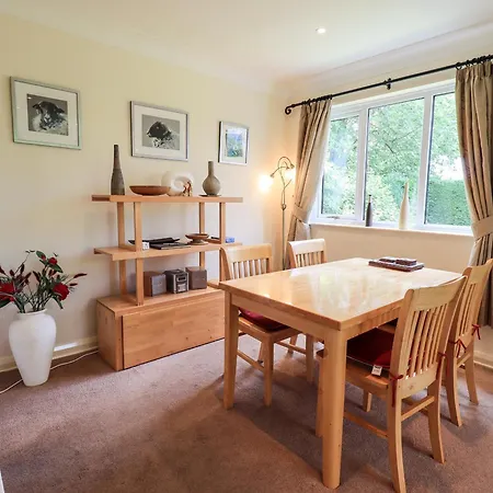 Birch Knoll * 安布尔塞德